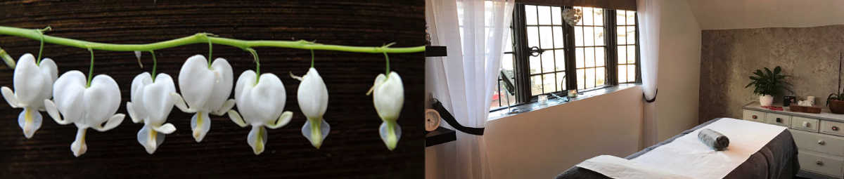 Beauty room and flowers